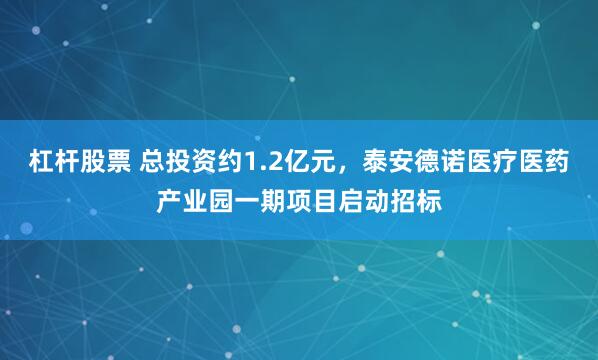 杠杆股票 总投资约1.2亿元，泰安德诺医疗医药产业园一期项目启动招标