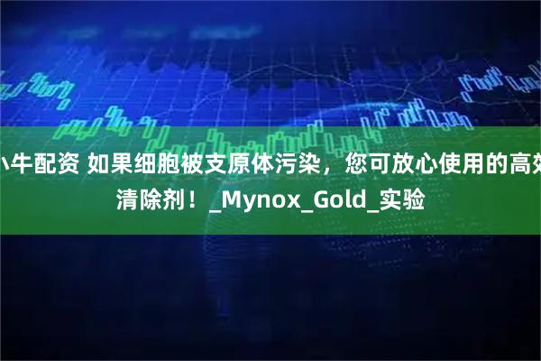 小牛配资 如果细胞被支原体污染,您可放心使用的高效清除剂!_Mynox_Gold_实验