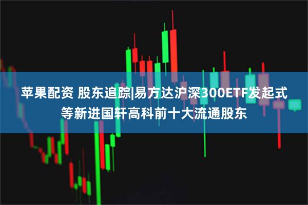 苹果配资 股东追踪|易方达沪深300ETF发起式等新进国轩高科前十大流通股东