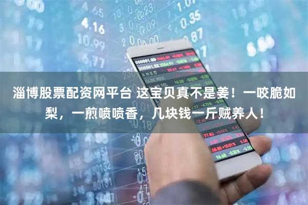 淄博股票配资网平台 这宝贝真不是姜！一咬脆如梨，一煎喷喷香，几块钱一斤贼养人！